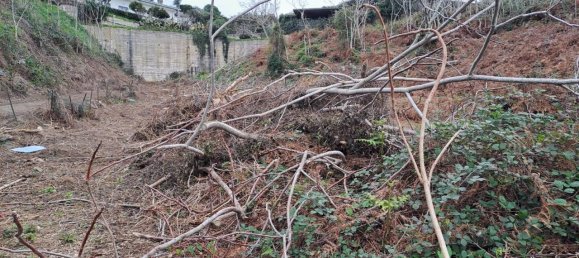 8500m² Land in Pozzuoli, Italy No. 85203 19