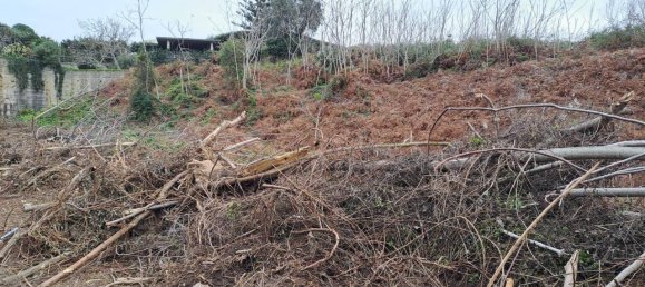 8500m² Land in Pozzuoli, Italy No. 85203 21