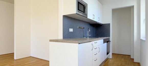 Studio à Fels am Wagram, Austria No. 234221 5