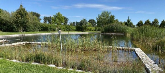 Studio à Fels am Wagram, Austria No. 234221 18