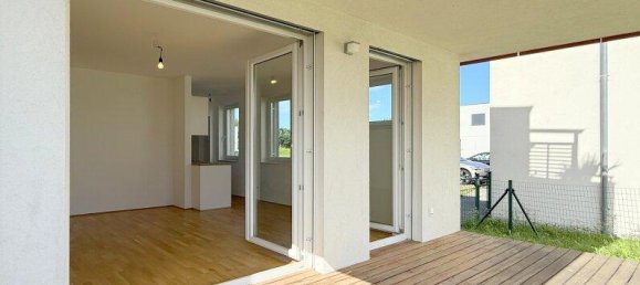 Studio à Fels am Wagram, Austria No. 234221 6