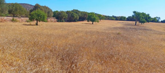 Grundstück in Santanyi, Spain, Nr. 168263 3