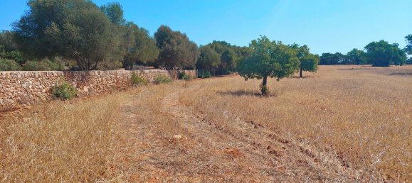 Grundstück in Santanyi, Spain, Nr. 168263 2