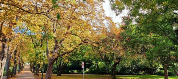 استوديو في Favoriten, Austria رقم 96905 14