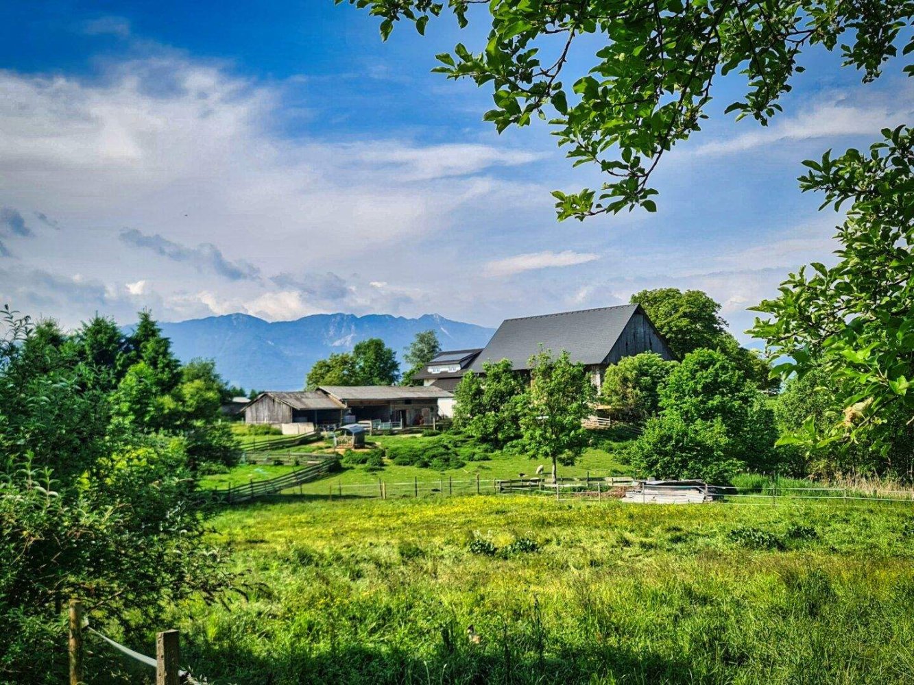  Land in Wernberg, Austria No. 238921