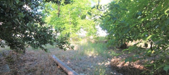  فندق في Corfu, Greece 1342متر مربع رقم 3870 8