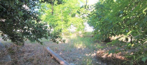  فندق في Corfu, Greece 1342متر مربع رقم 3870 14