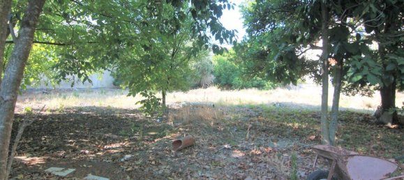  فندق في Corfu, Greece 1342متر مربع رقم 3870 4