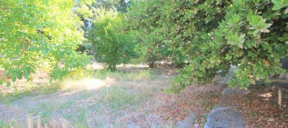  فندق في Corfu, Greece 1342متر مربع رقم 3870 6