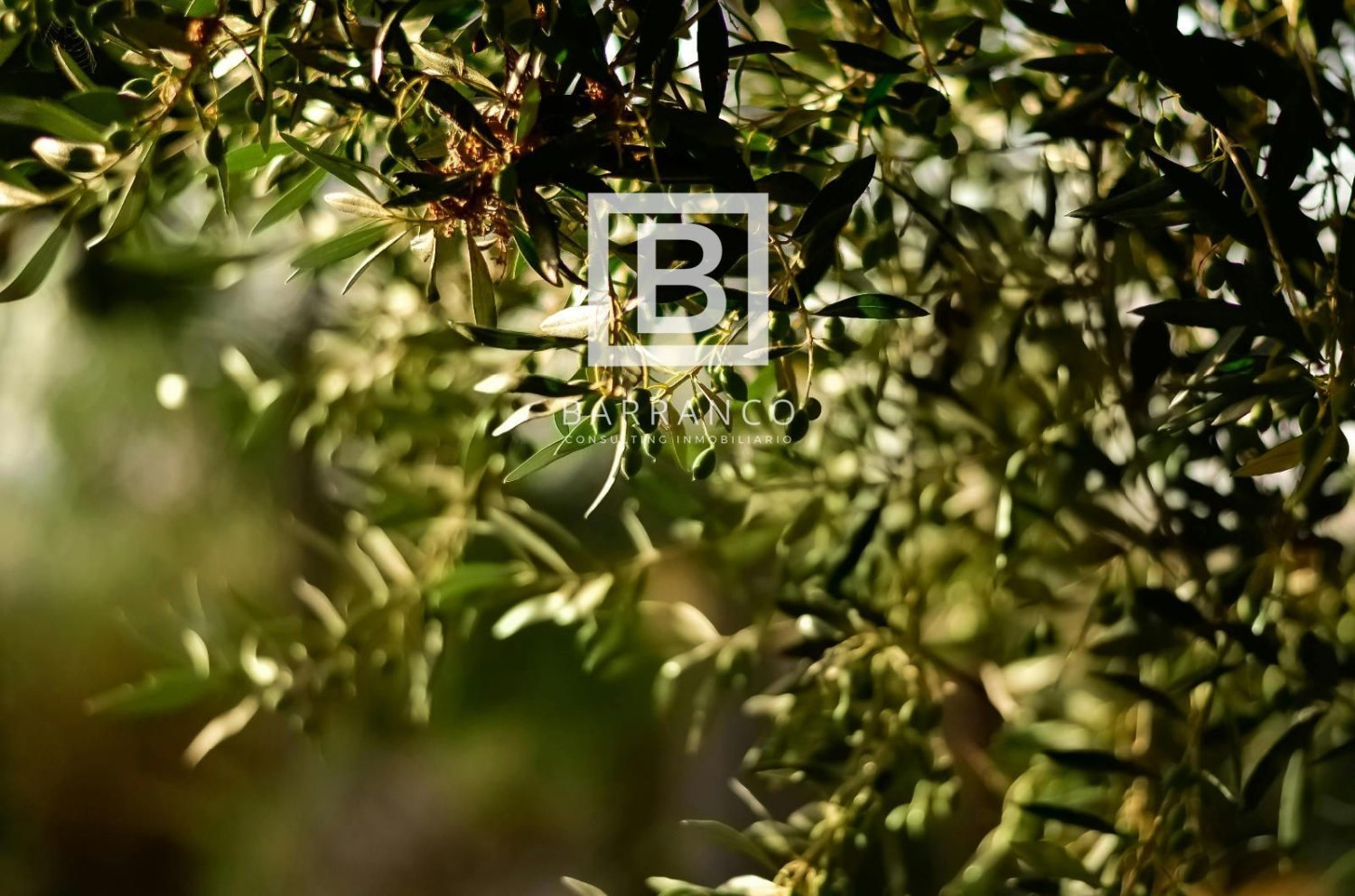 Terreno em Jaen, Spain 7500 m² N.º 211838