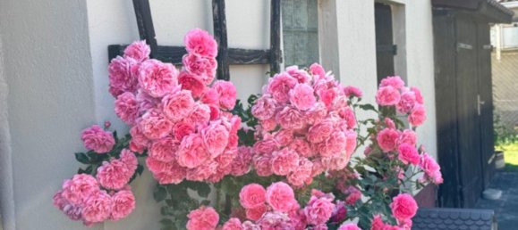 2 غرف نوم منزل في Ludwigslust-Parchim, Germany رقم 325428 26