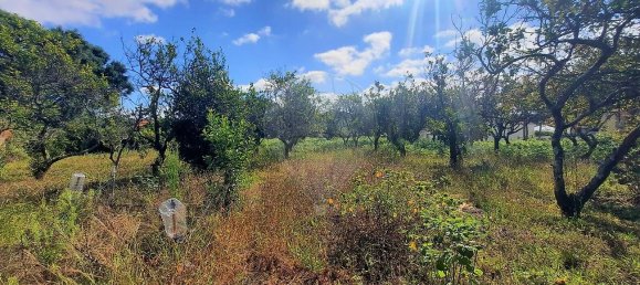4 غرف نوم منزل في Sao Paio de Oleiros, Portugal رقم 17410 26