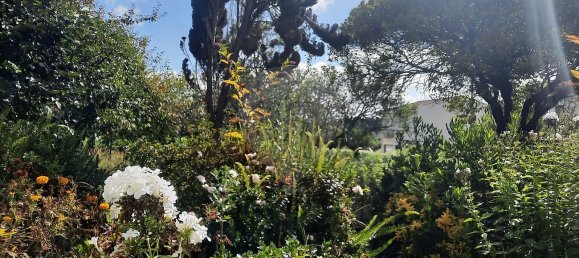 4 غرف نوم منزل في Sao Paio de Oleiros, Portugal رقم 17410 20