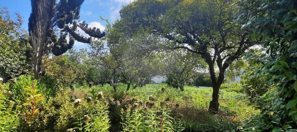 4 غرف نوم منزل في Sao Paio de Oleiros, Portugal رقم 17410 28