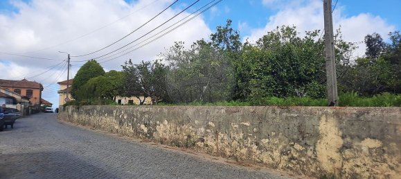 4 غرف نوم منزل في Sao Paio de Oleiros, Portugal رقم 17410 32