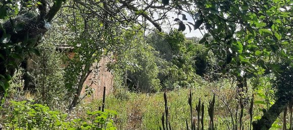 4 غرف نوم منزل في Sao Paio de Oleiros, Portugal رقم 17410 21