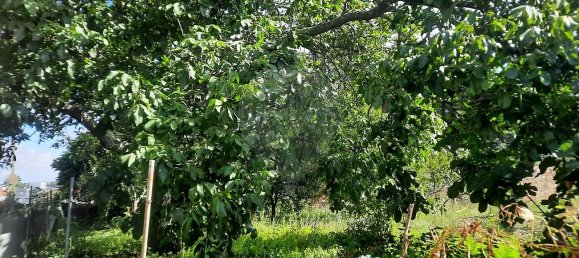 4 غرف نوم منزل في Sao Paio de Oleiros, Portugal رقم 17410 25