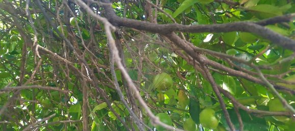 4 غرف نوم منزل في Sao Paio de Oleiros, Portugal رقم 17410 11