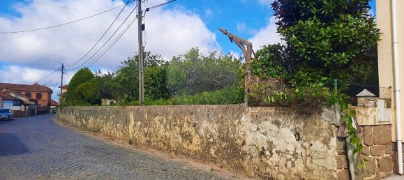 4 غرف نوم منزل في Sao Paio de Oleiros, Portugal رقم 17410 29