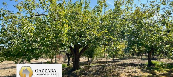 5 Schlafzimmer Villa in Syracuse, Italy, Nr. 244451 16