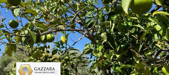 5 Schlafzimmer Villa in Syracuse, Italy, Nr. 244451 14