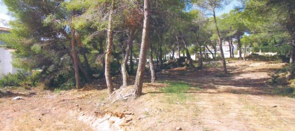  قطعة أرض في Moraira, Spain رقم 90055 12