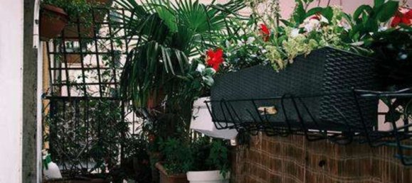 3 rooms Apartment in Trento, Italy No. 284436 6