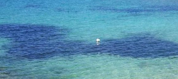 3غرفة منزل في Ceglie Messapica, Italy رقم 41349 13