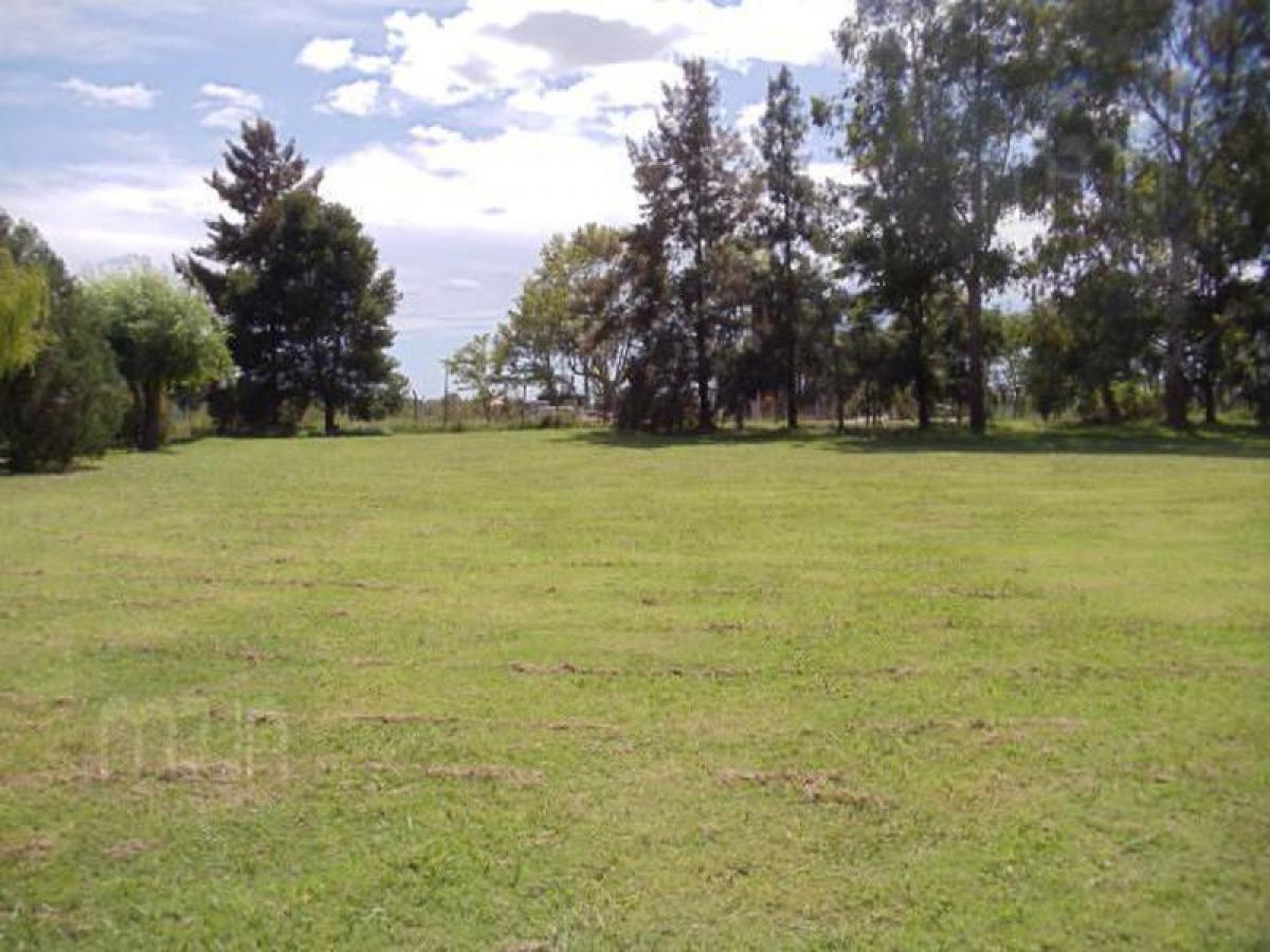  قطعة أرض في Ezeiza, Argentina رقم 117004