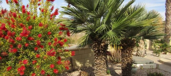 4 bedrooms Villa in La Romana, Spain No. 94581 24