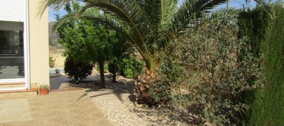 4 bedrooms Villa in La Romana, Spain No. 94581 19