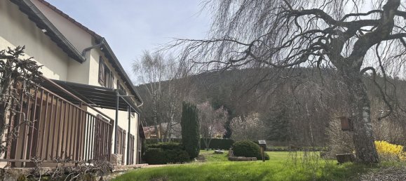 5 chambres Maison à Saint-Dié-des-Vosges, France No. 231281 44