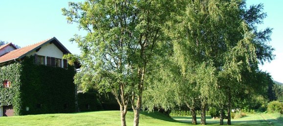 5 chambres Maison à Saint-Dié-des-Vosges, France No. 231281 31