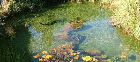 5 chambres Maison à Saint-Dié-des-Vosges, France No. 231281 46