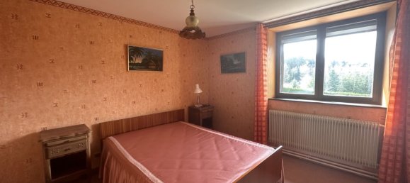 5 chambres Maison à Saint-Dié-des-Vosges, France No. 231281 21