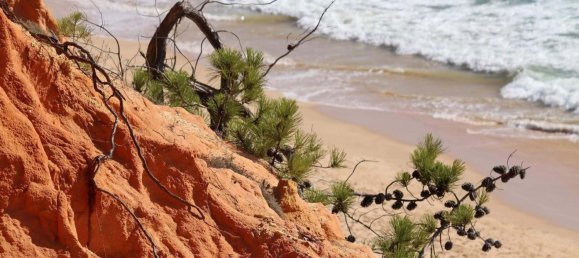 Terreno em Albufeira, Portugal N.º 97526 7