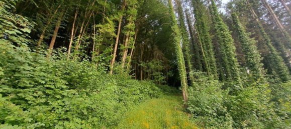 7غرفة منزل في Graz-Umgebung, Austria رقم 144432 16