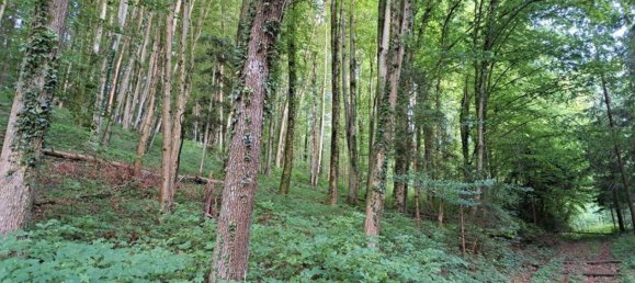 7غرفة منزل في Graz-Umgebung, Austria رقم 144432 15