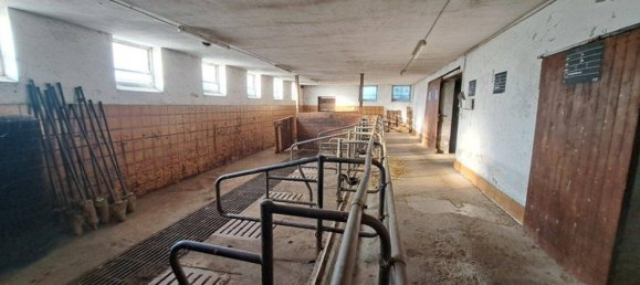 7غرفة منزل في Graz-Umgebung, Austria رقم 144432 13