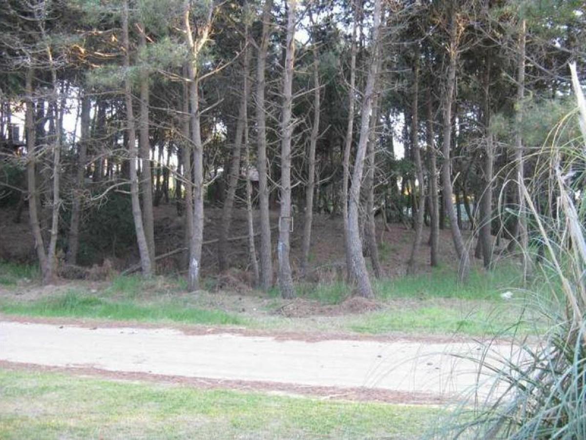 Terreno en Mar del Plata, Argentina No. 115813