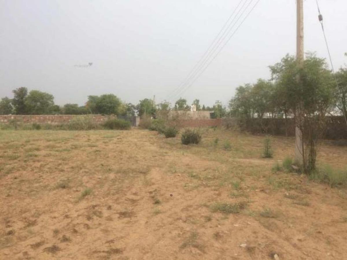  Land in Gurgaon, India No. 35839