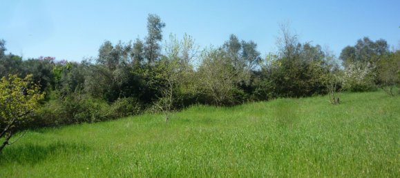 3 bedrooms House in San Polo dei Cavalieri, Italy No. 161631 43