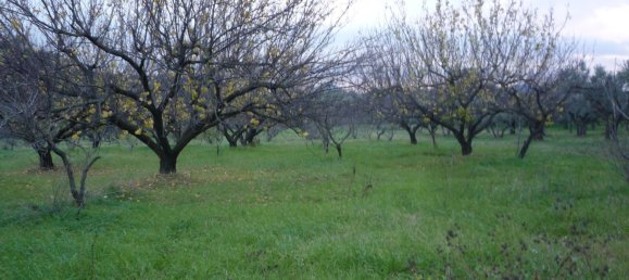 3 bedrooms House in San Polo dei Cavalieri, Italy No. 161631 15