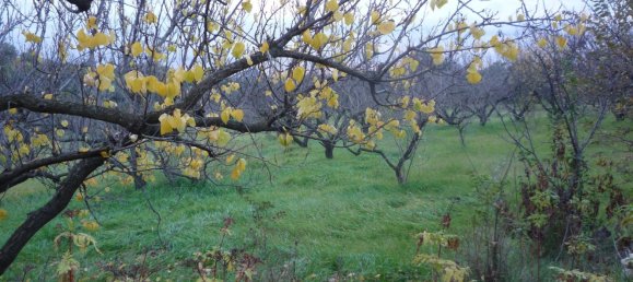 3 bedrooms House in San Polo dei Cavalieri, Italy No. 161631 26