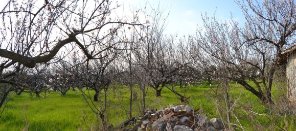 3 bedrooms House in San Polo dei Cavalieri, Italy No. 161631 48