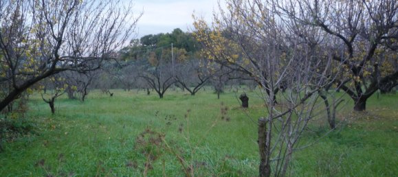 3 bedrooms House in San Polo dei Cavalieri, Italy No. 161631 16