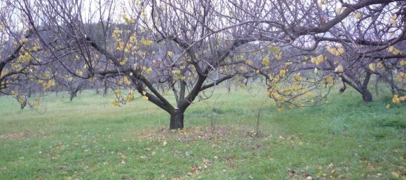 3 bedrooms House in San Polo dei Cavalieri, Italy No. 161631 6