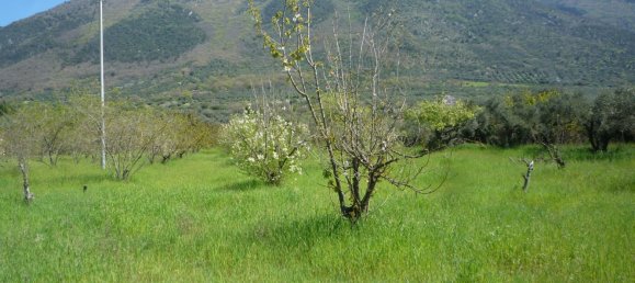 3 bedrooms House in San Polo dei Cavalieri, Italy No. 161631 42