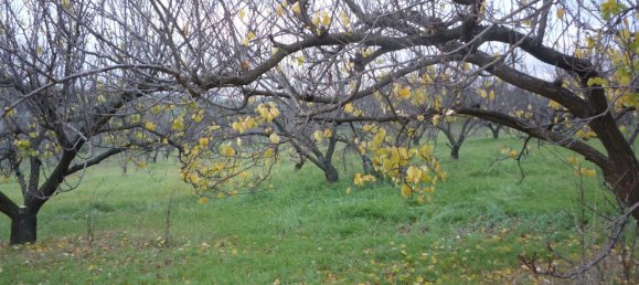 3 bedrooms House in San Polo dei Cavalieri, Italy No. 161631 7