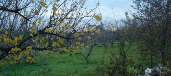 3 bedrooms House in San Polo dei Cavalieri, Italy No. 161631 25